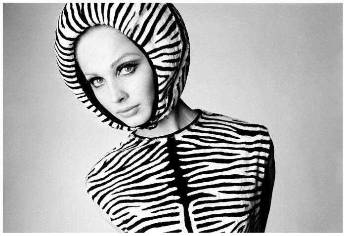 David Bailey stile