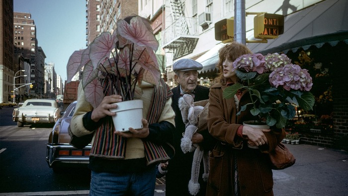 Joel Meyerowitz fotografo